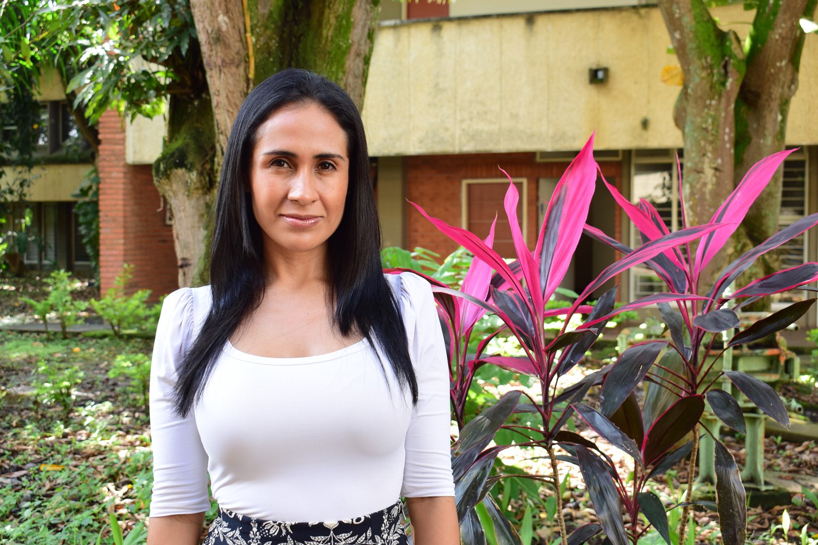 Imagen no disponible