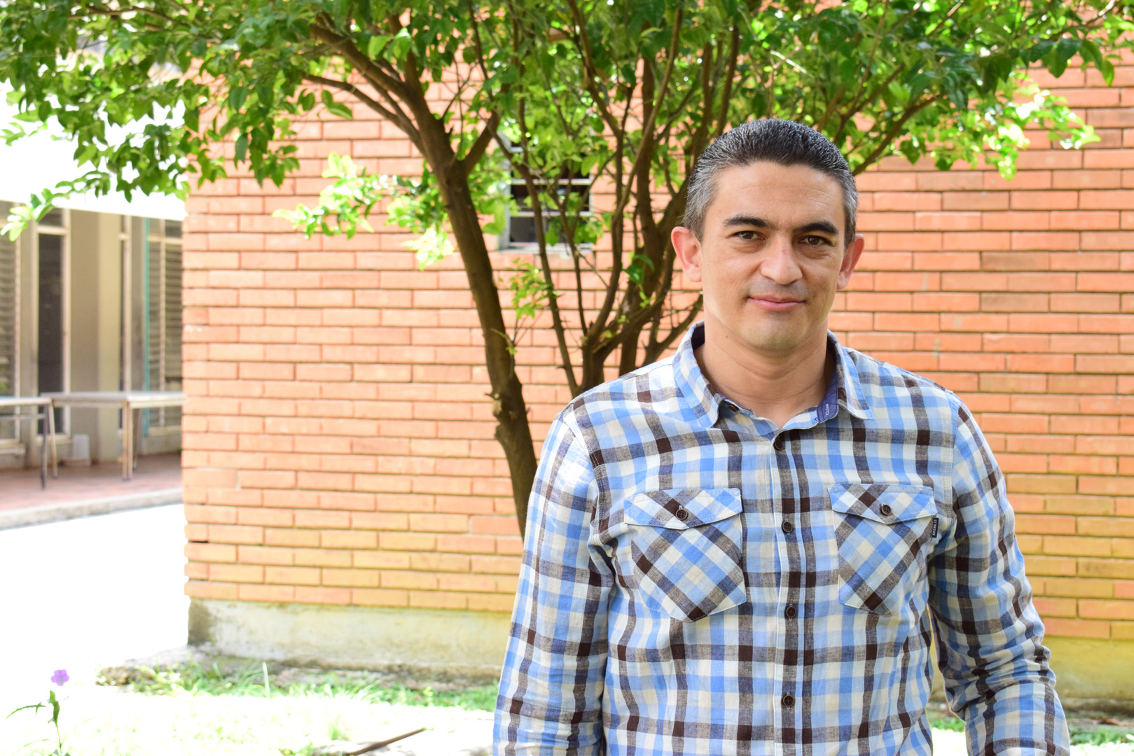 Imagen no disponible