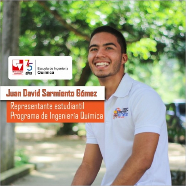 Opinión del estudiantado del programa de Ingeniería Química en la coyuntura del Covid - 19